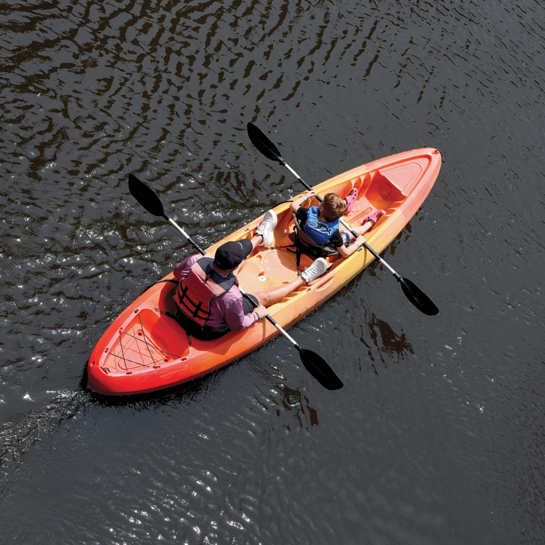 People kayaking in a river