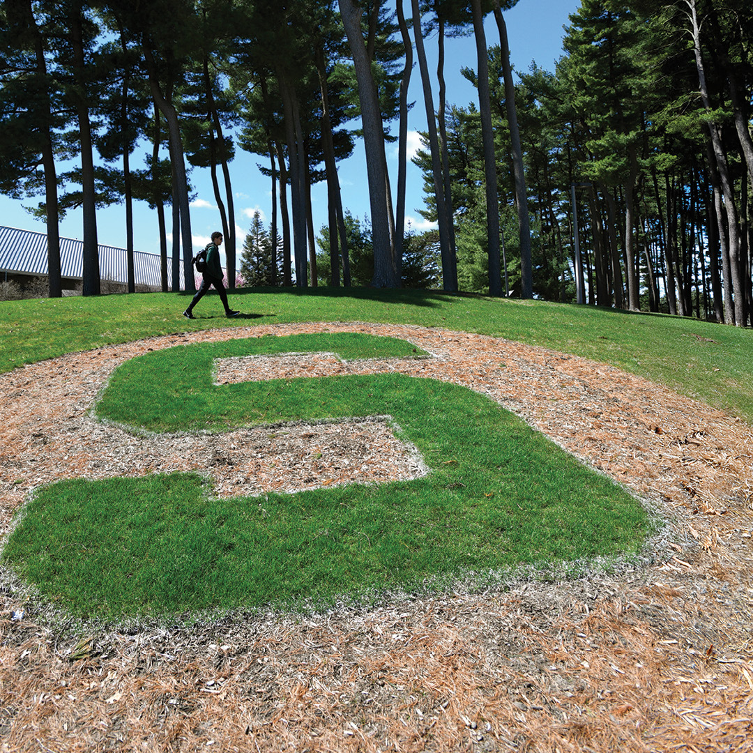 MSU's S logo in a field 